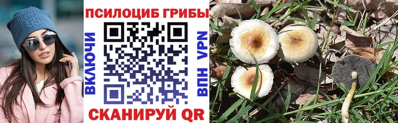 сайты даркнета клад  Цоци-Юрт  Галлюциногенные грибы MAGIC MUSHROOMS 